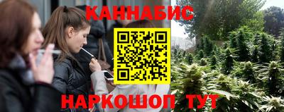 ешки Новозыбков