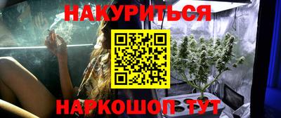 ешки Новозыбков