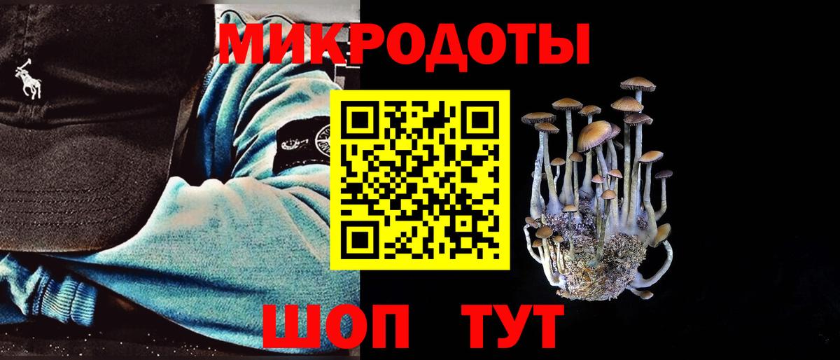 Чайковский  купить наркоту  Вход с VPN  Псилоцибиновые грибы Psilocybine cubensis  Галлюциногенные грибы Magic Shrooms 
