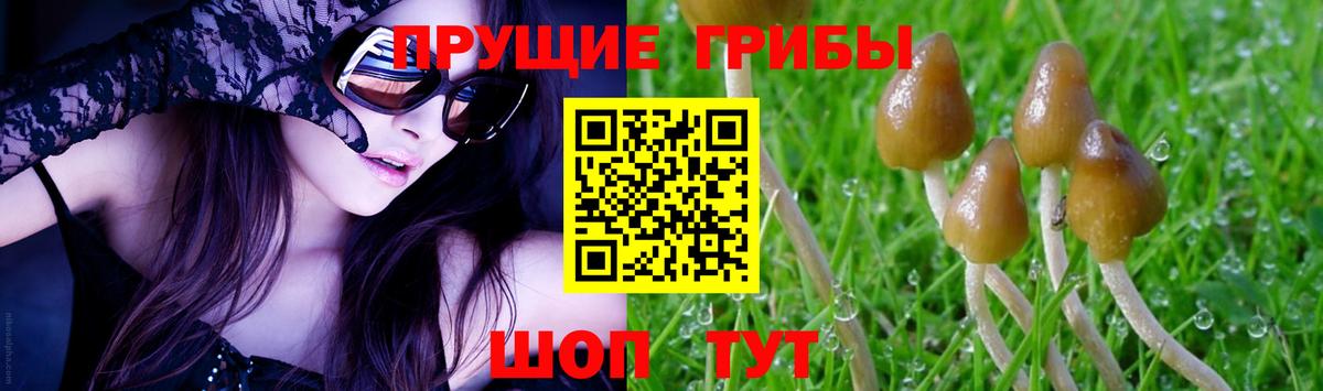 Галлюциногенные грибы GOLDEN TEACHER Чайковский